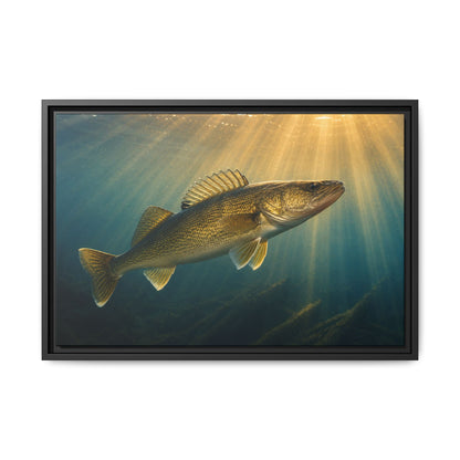 Backlit Sunbeam Cruise Walleye framed canvas, 36x24 size view