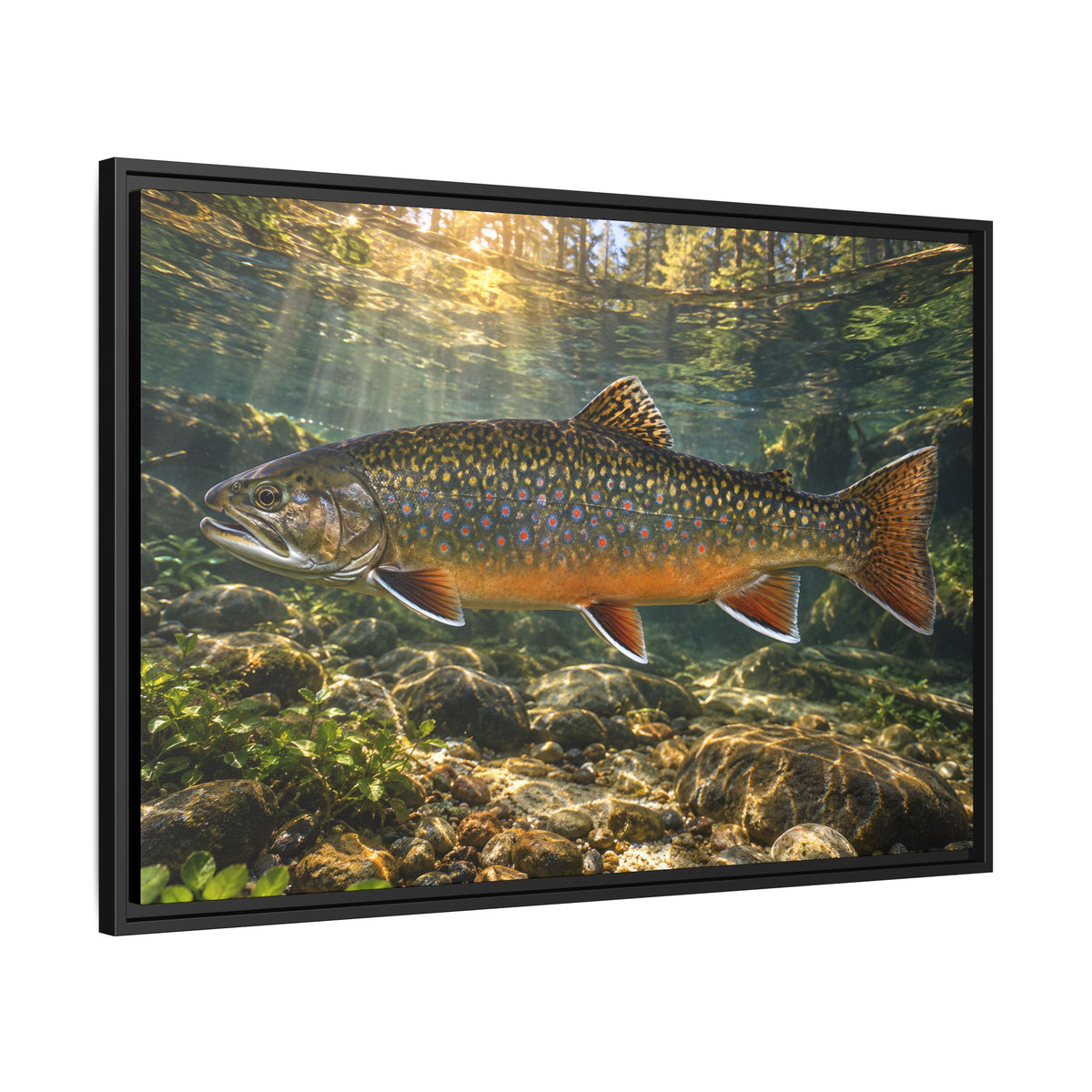 Northern Jewel Brook Trout framed canvas wall art, view 4