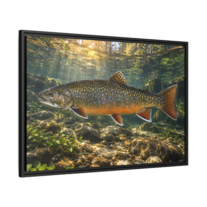 Northern Jewel Brook Trout framed canvas wall art, view 4