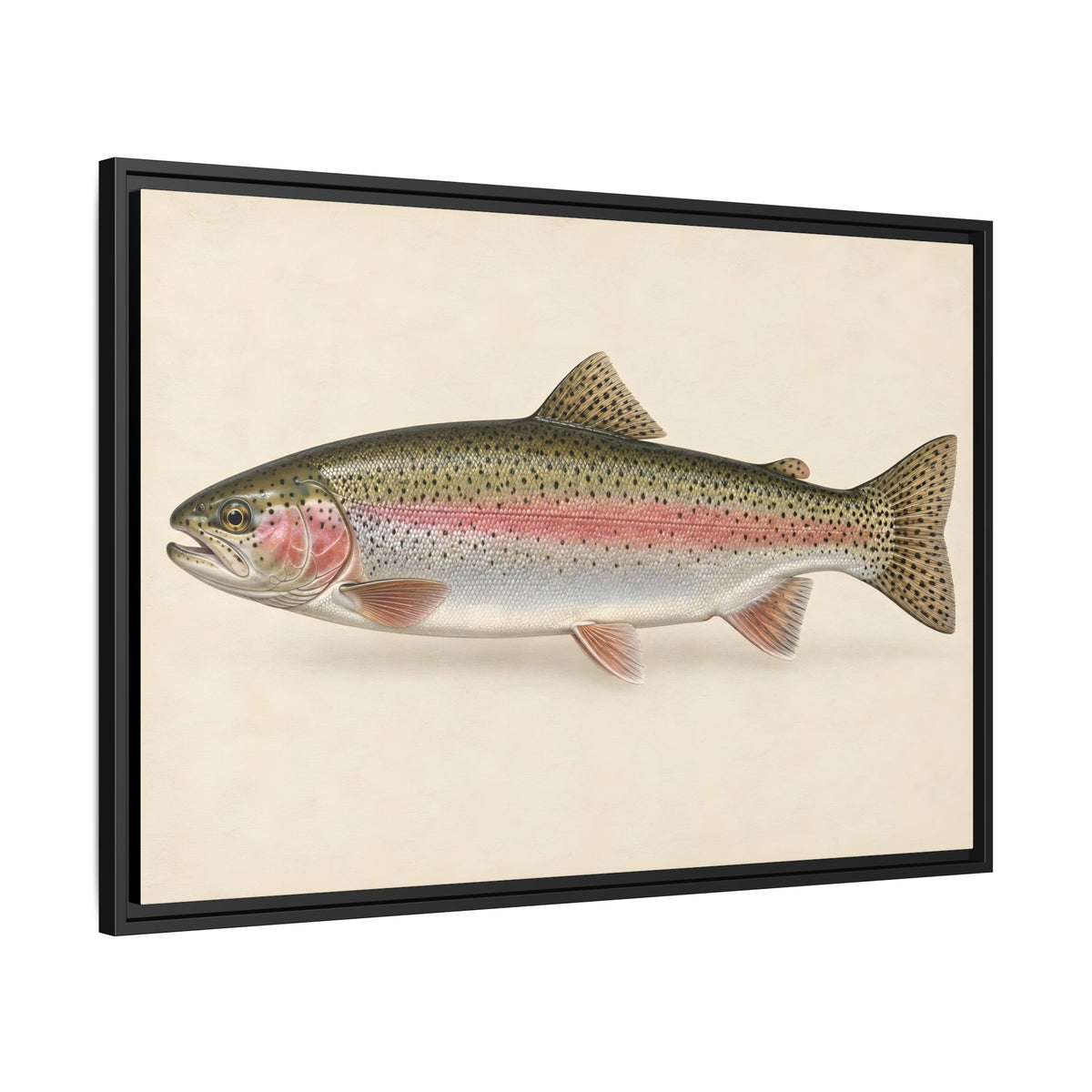 Rainbow Trout Field Study framed canvas wall art – photo 4