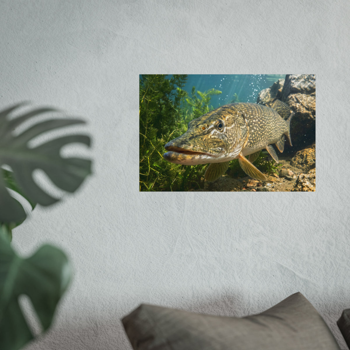 Northern Pike Clear Water Portrait Fine Art Print — Limited Edition Giclée for Anglers