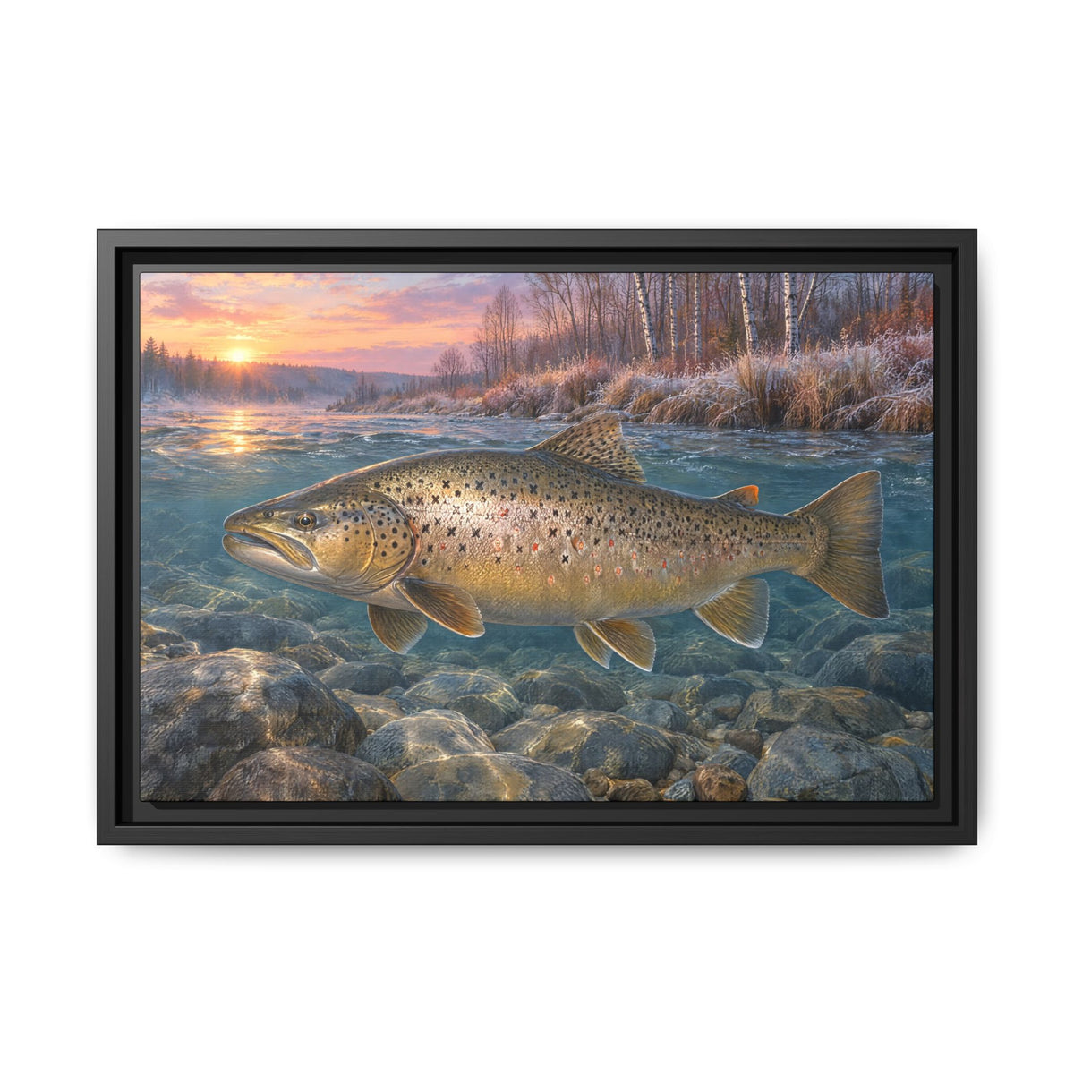 Lake-Run Giant Brown Trout framed canvas, 24x16 size view
