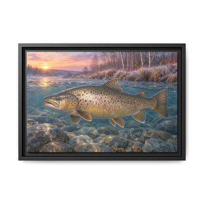 Lake-Run Giant Brown Trout framed canvas, 24x16 size view