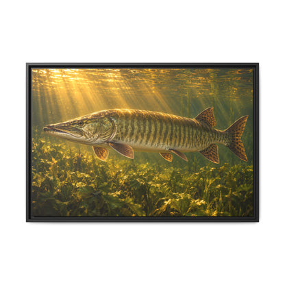 A trophy muskie hangs over cabbage weeds as golden-hour sunbeams pour down, fishing wall art framed canvas