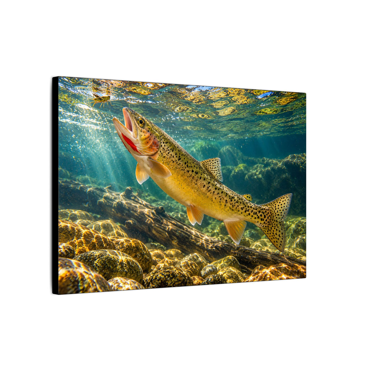 Rising to the Hopper Cutthroat Trout canvas, side angle