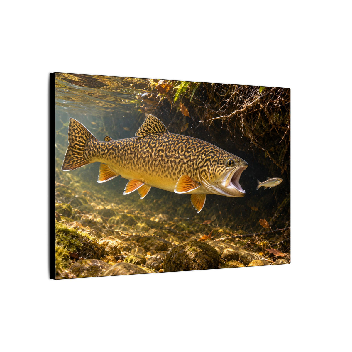 Grassy Bank Strike Tiger Trout canvas wall art, view 4