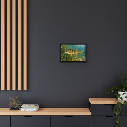 Weedline Yellow Perch framed canvas wall art, view 6