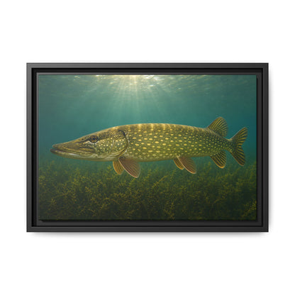 Over the Weed Bed Northern Pike framed canvas, 24x16 size view