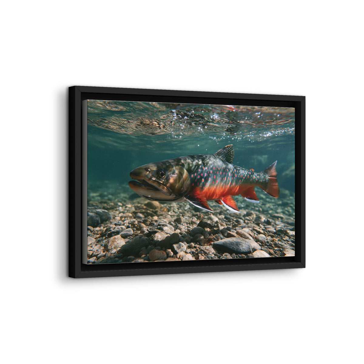 Clear Gravel Run Dolly Varden framed canvas wall art, view 4