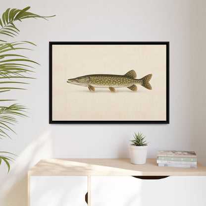Northern Pike Field Study framed canvas hanging in a living room