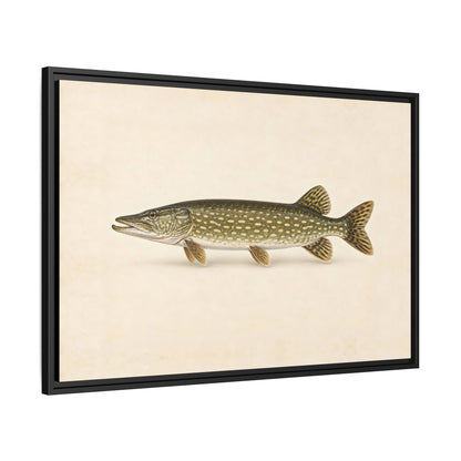 Northern Pike Field Study framed canvas side angle