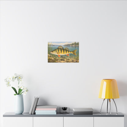 Field Guide Yellow Perch canvas wall art, view 6