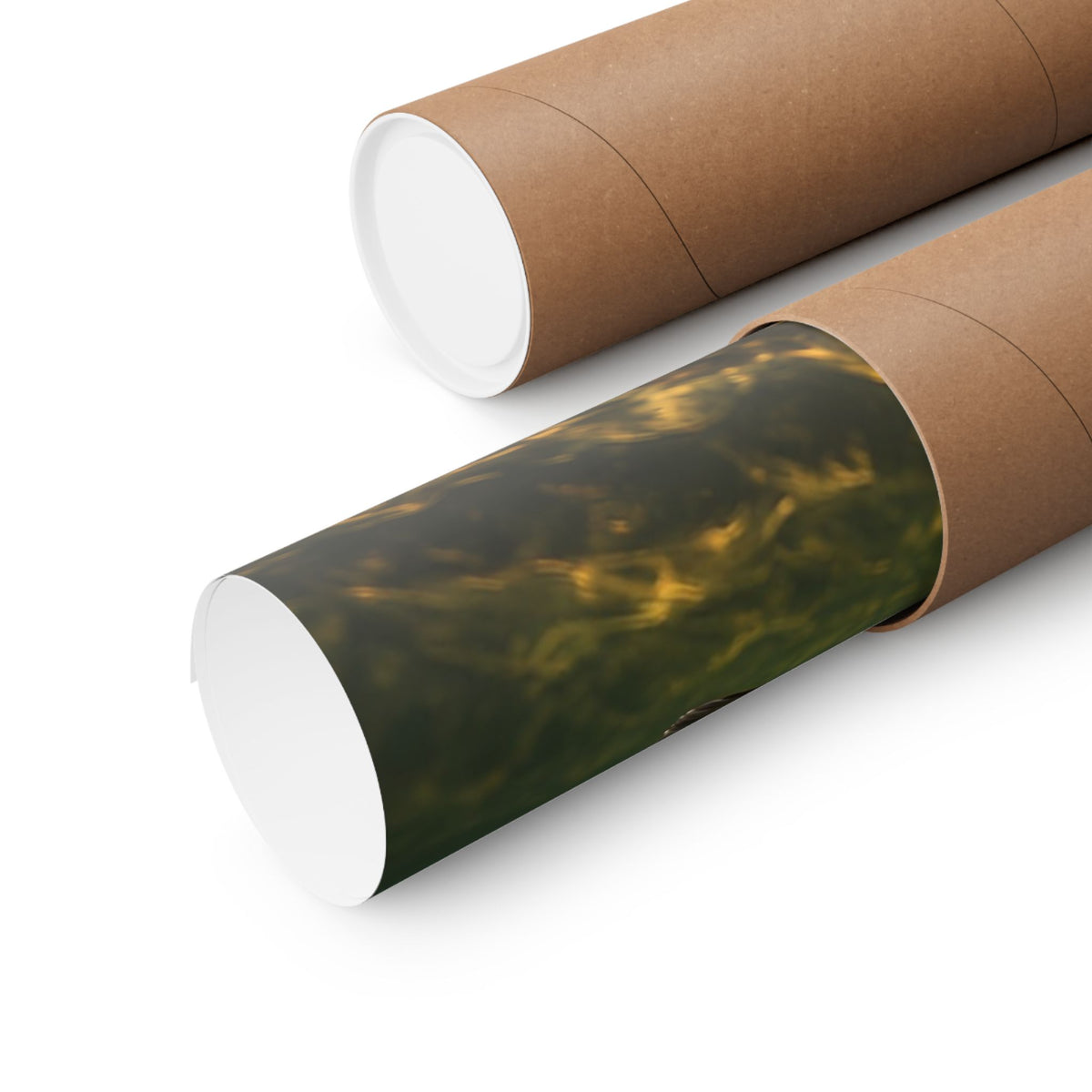 Golden Autumn Reflection Largemouth Bass poster shipped rolled in a protective tube