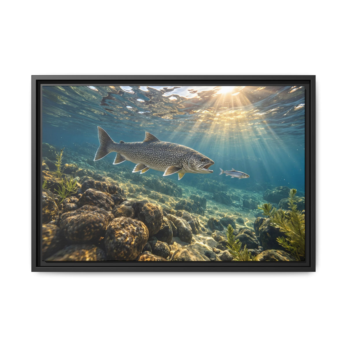Cisco Chase Lake Trout framed canvas, 36x24 size view