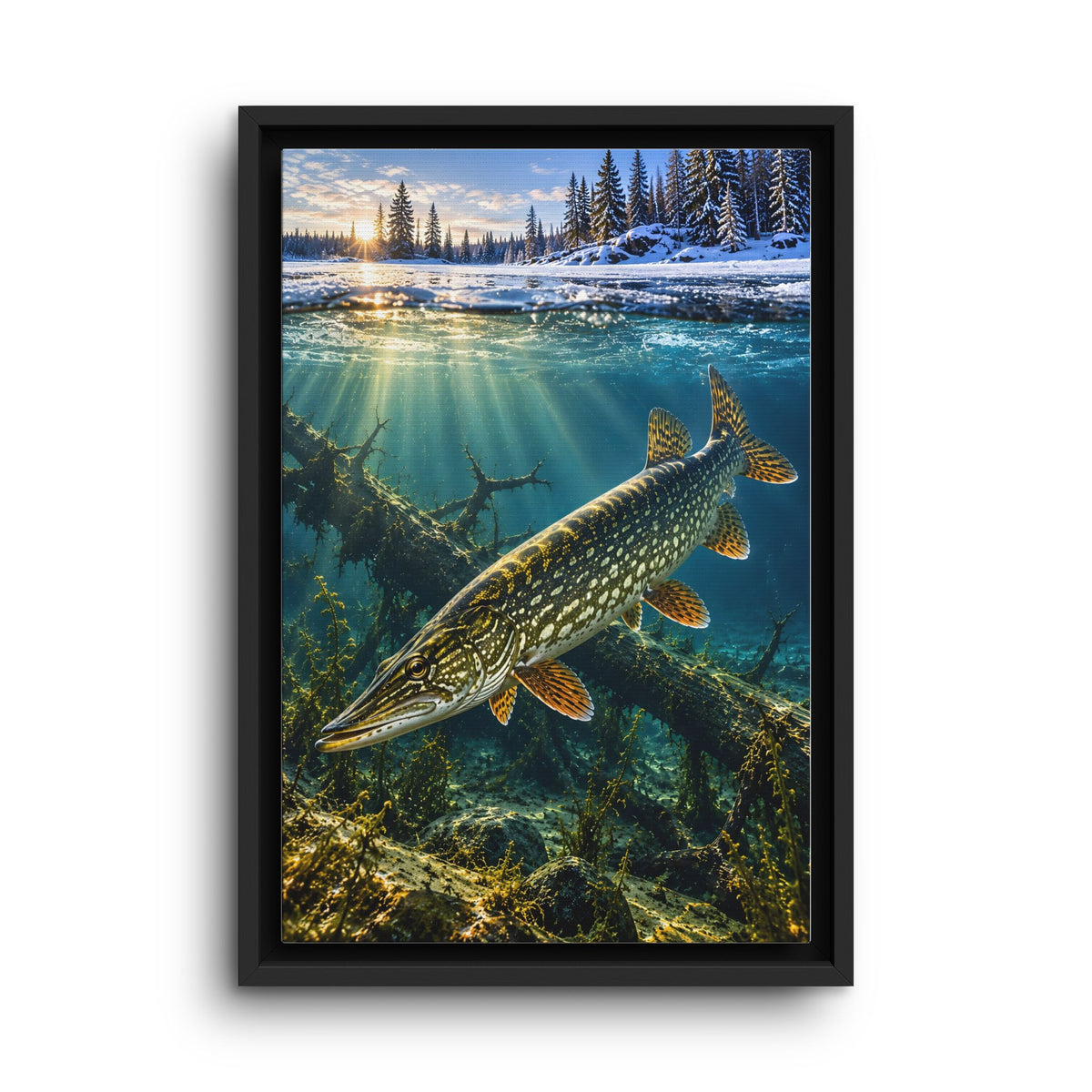 Winter Pike Beneath the Ice framed canvas wall art