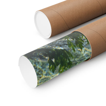 Gliding Through Sierra Waters Golden Trout poster wall art, view 5