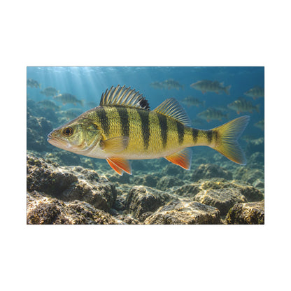 Rocky Reef Yellow Perch canvas wall art, view 3