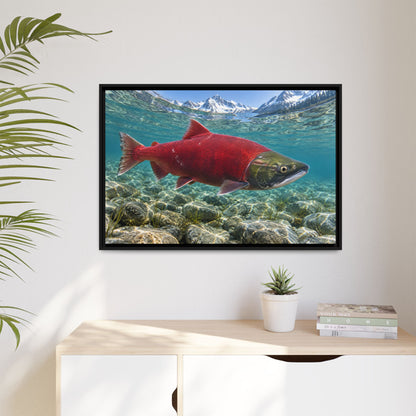 Ruby of the Shallows Sockeye Salmon framed canvas wall art, view 5