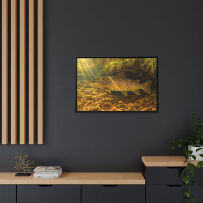 Golden Undercut Brown Trout framed canvas in a home office