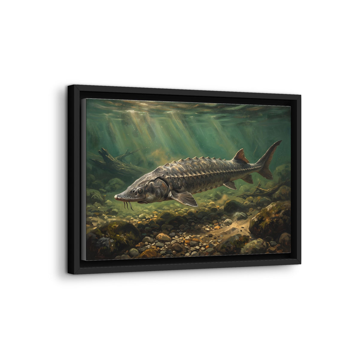 Lake Sturgeon Gravel Run framed canvas wall art, view 4