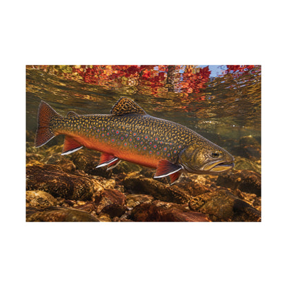 Crimson October Brook Trout poster wall art, view 4