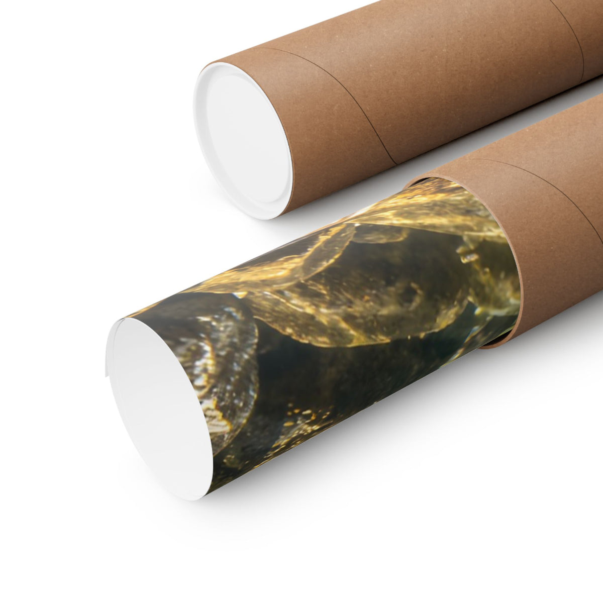 Red Rock Canyon Gila Trout poster wall art, view 5