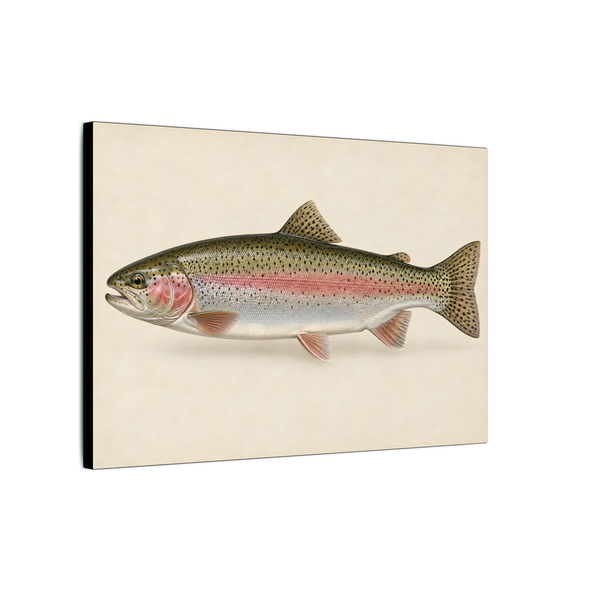 Rainbow Trout Field Study canvas wall art – photo 4