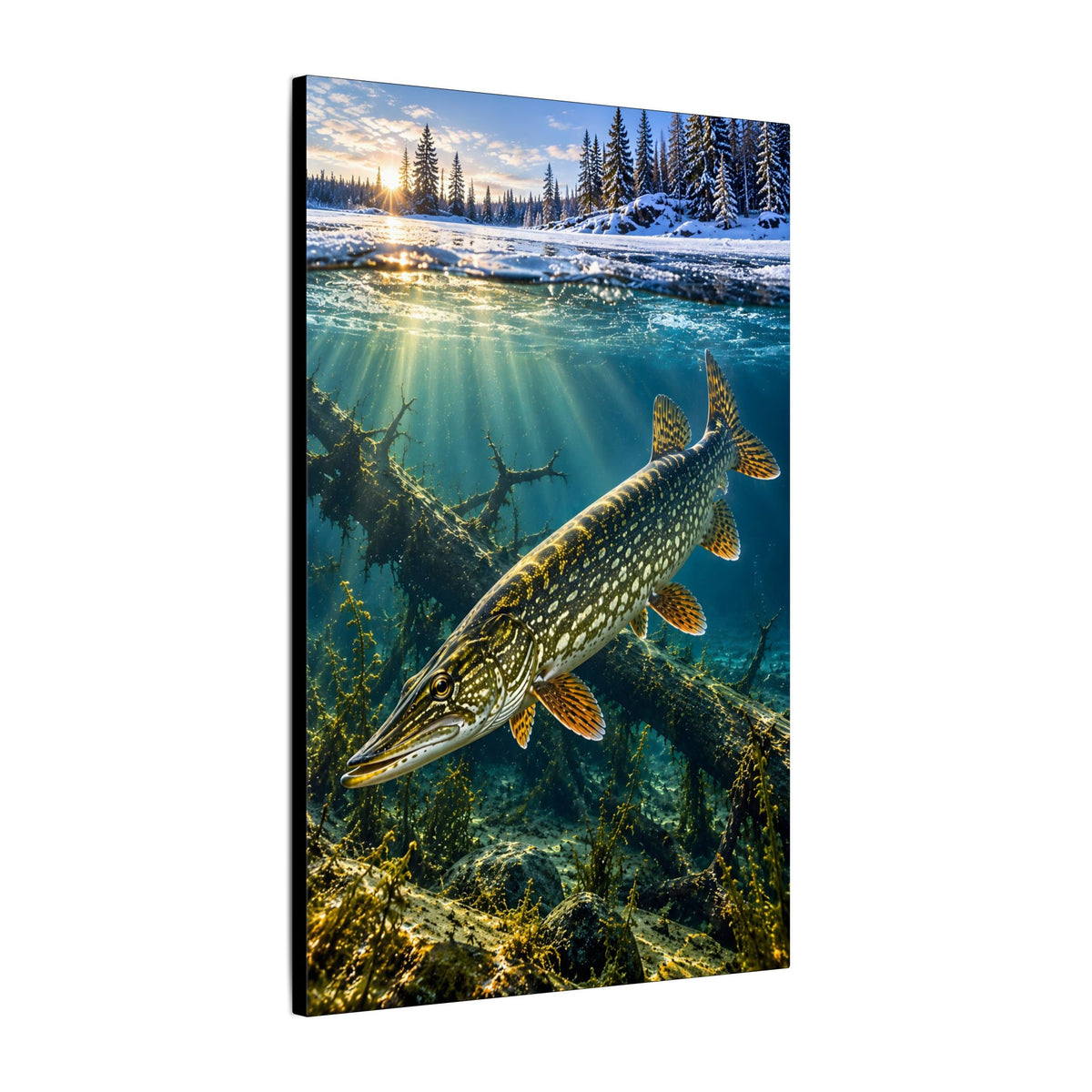 Winter Pike Beneath the Ice canvas wall art, view 4