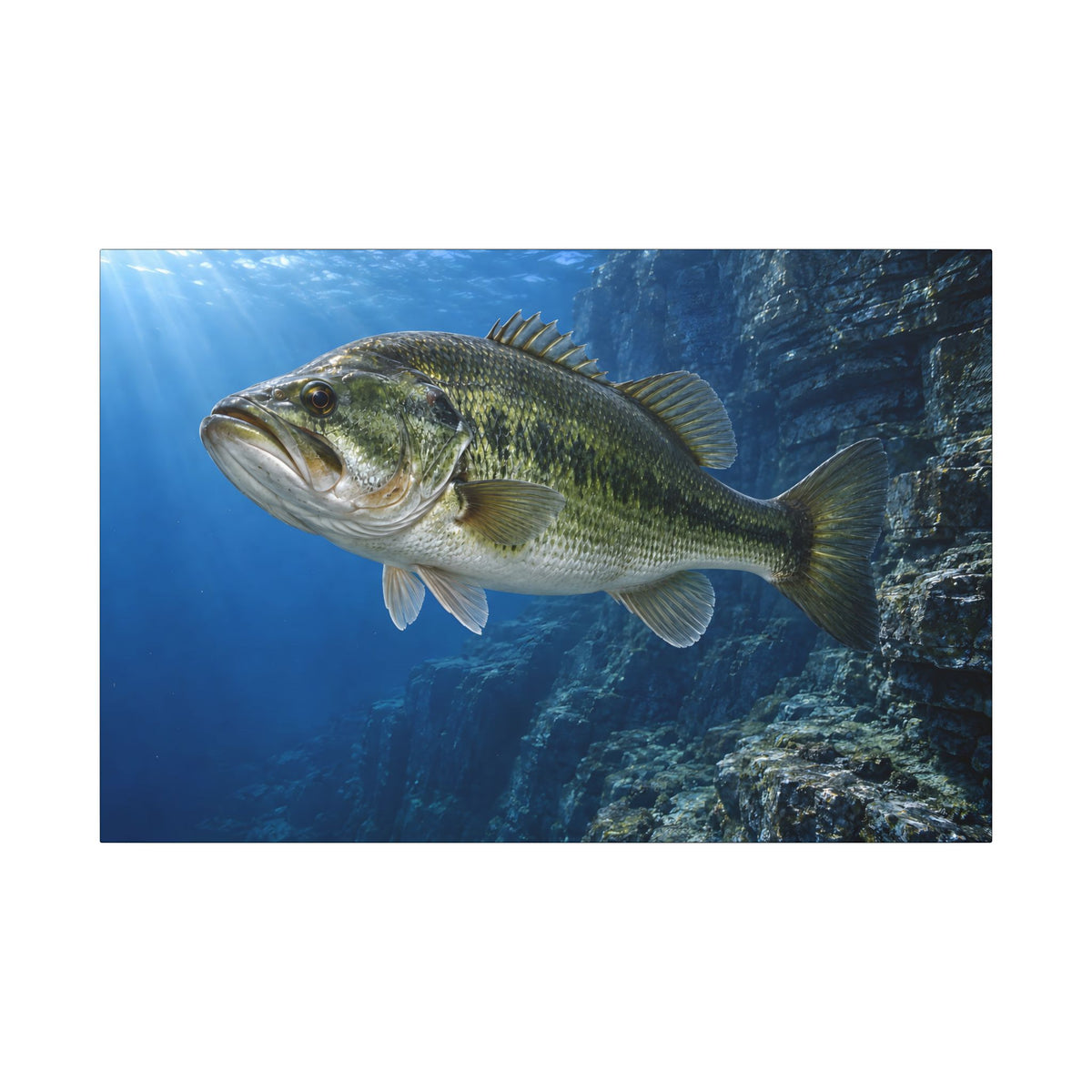 Cobalt Cliff Patrol Largemouth Bass canvas, 36x24 size view