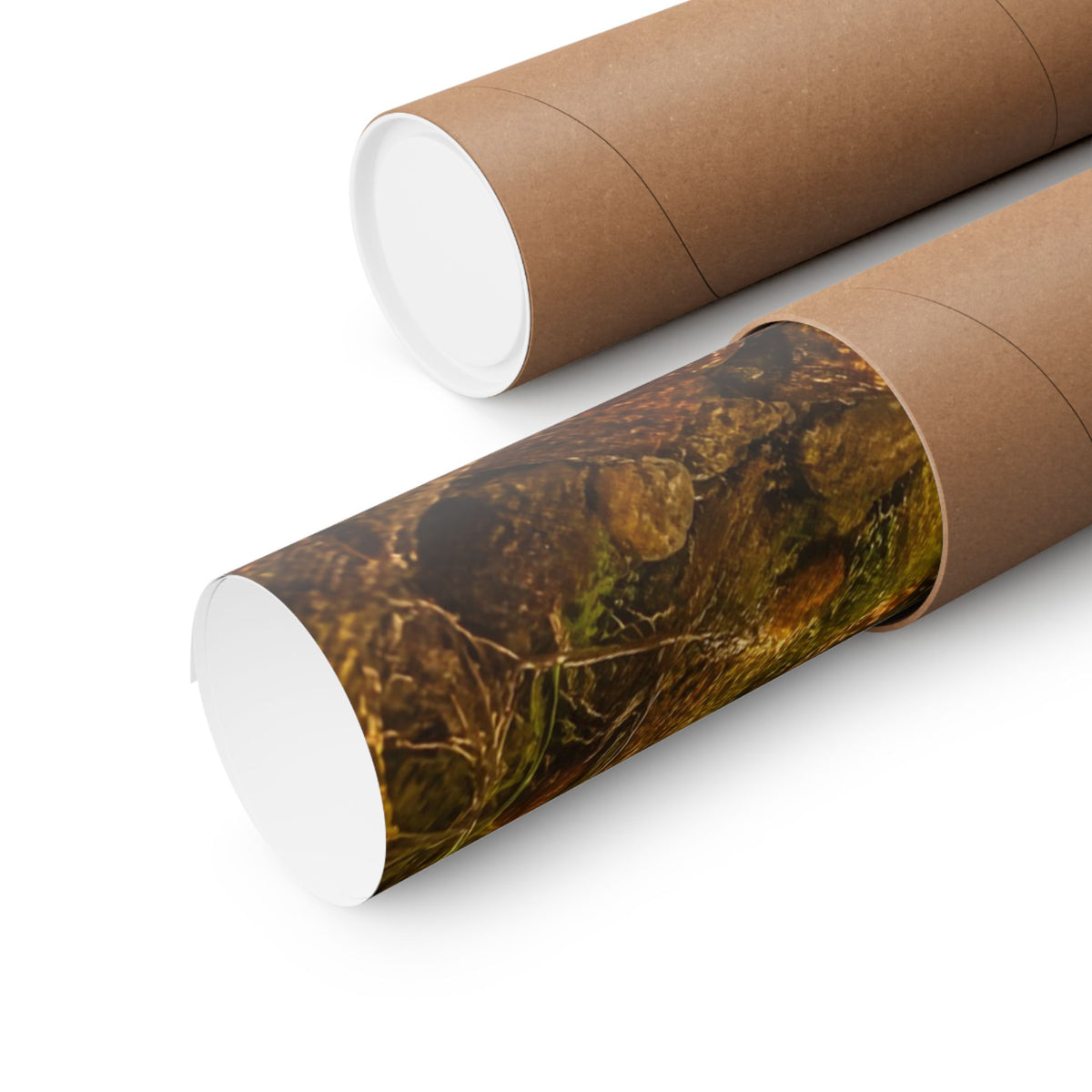 Golden Undercut Brown Trout poster shipped rolled in a protective tube