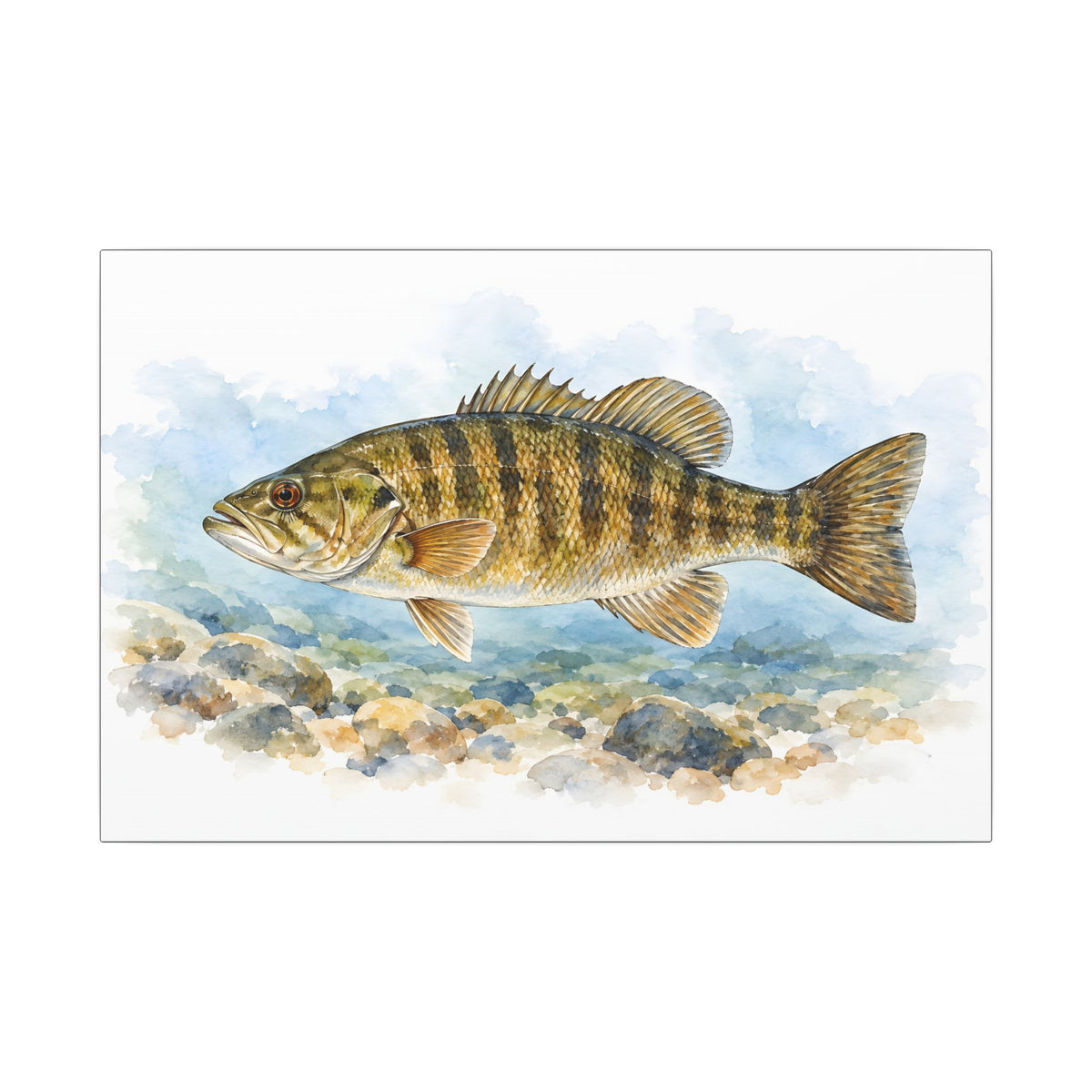Watercolor Pebbles Smallmouth Canvas wall art, view 2
