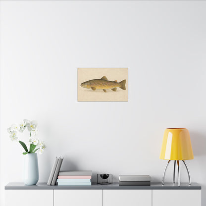 Brown Trout Field Study canvas in a home office