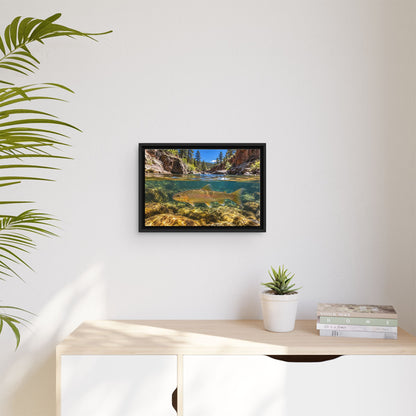 Red Rock Canyon Gila Trout framed canvas wall art, view 5