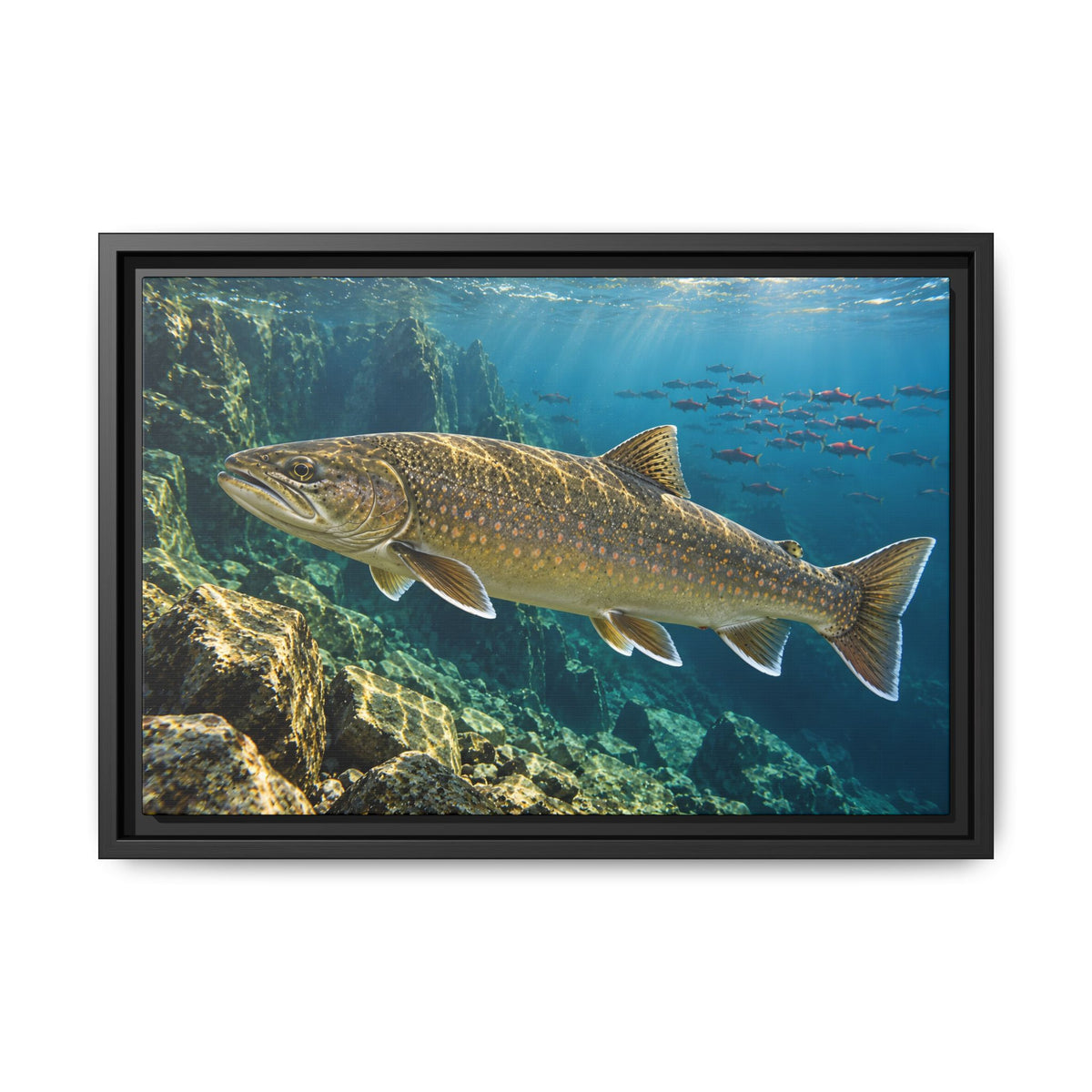 Pend Oreille Giant Bull Trout framed canvas, 18x12 size view
