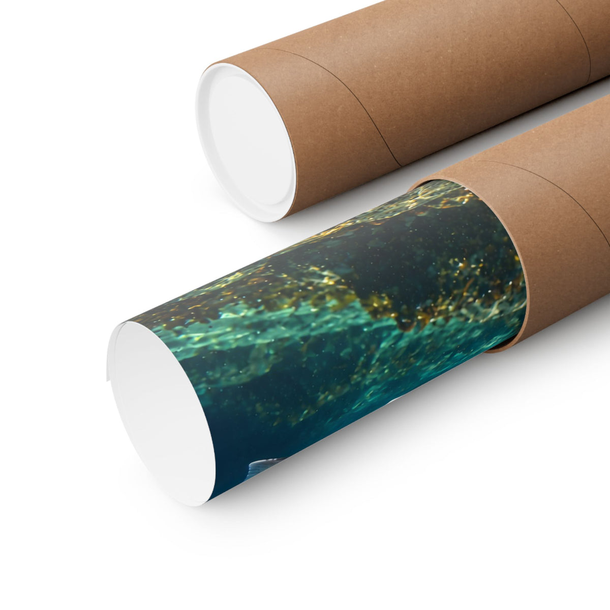 Silver in the Tide Coho Salmon poster shipped rolled in a protective tube