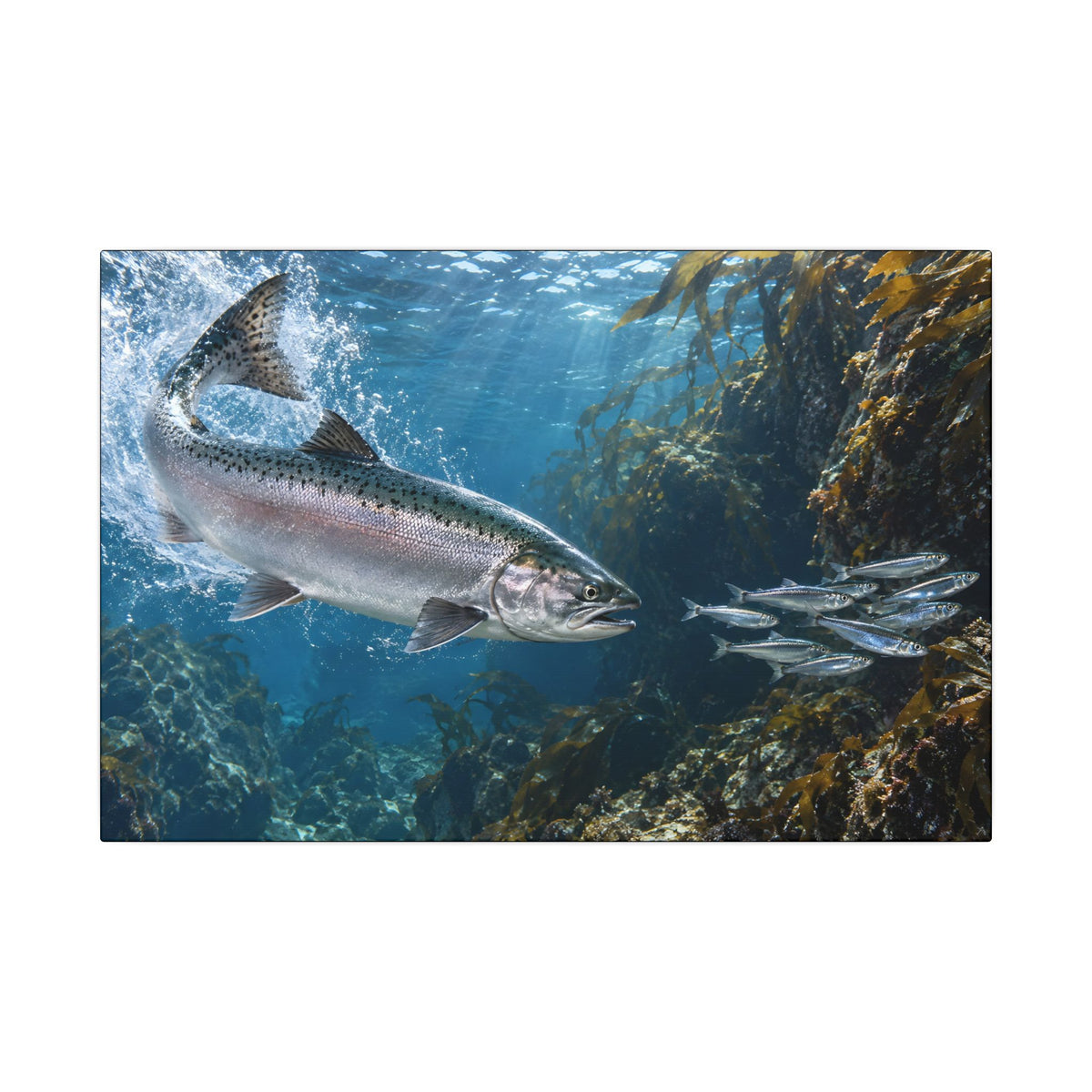 Silver Torpedo Chinook Salmon canvas wall art