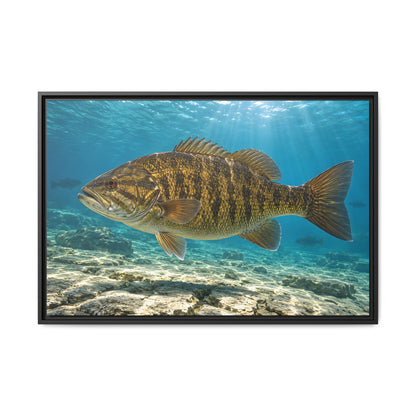 A giant smallmouth in clear turquoise Great Lakes water over limestone, fishing wall art framed canvas