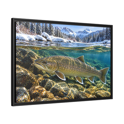 Snowy Mountain River Bull Trout framed canvas, side angle