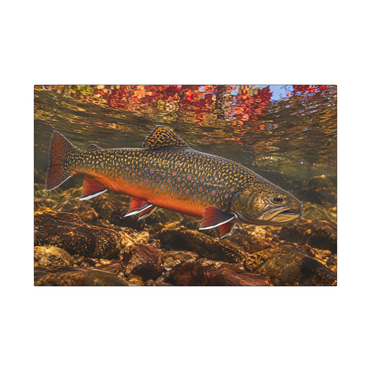 Crimson October Brook Trout canvas wall art, view 2