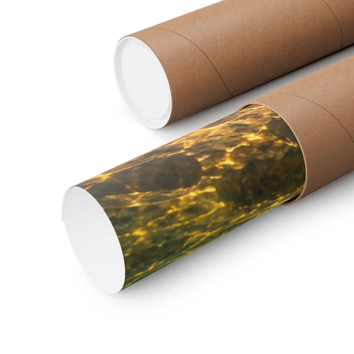 Golden Current Northern Pike poster shipped rolled in a protective tube