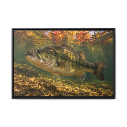 Golden Autumn Reflection Largemouth Bass framed canvas, 18x12 size view