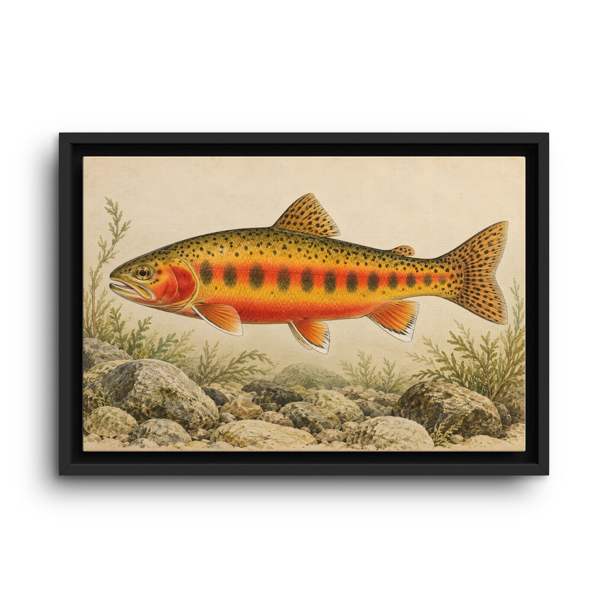 Vintage Stream Study Golden Trout framed canvas wall art
