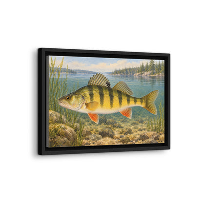 Field Guide Yellow Perch framed canvas wall art, view 4