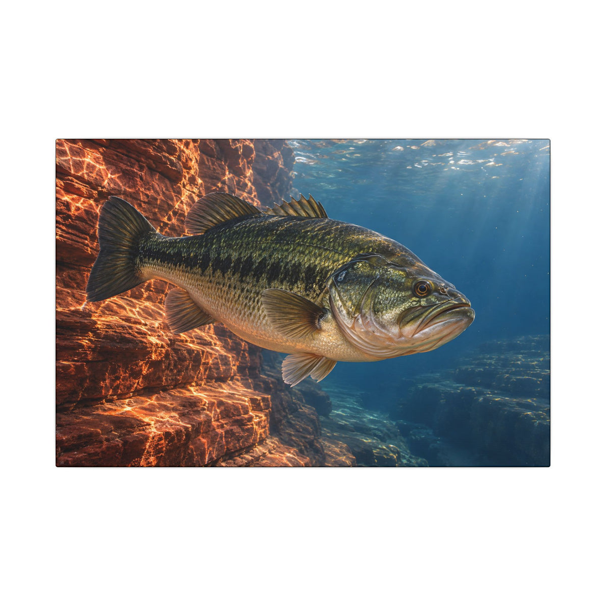 Rust-Red Canyon Glow Largemouth Bass canvas, 18x12 size view