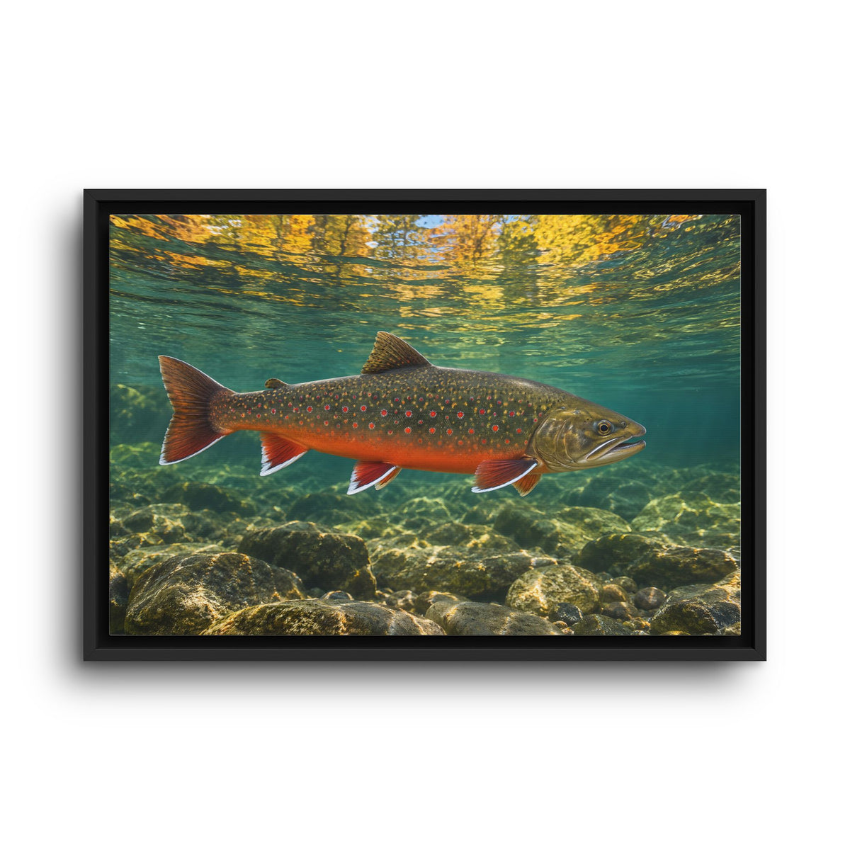 Autumn Reflections Dolly Varden framed canvas wall art, view 2