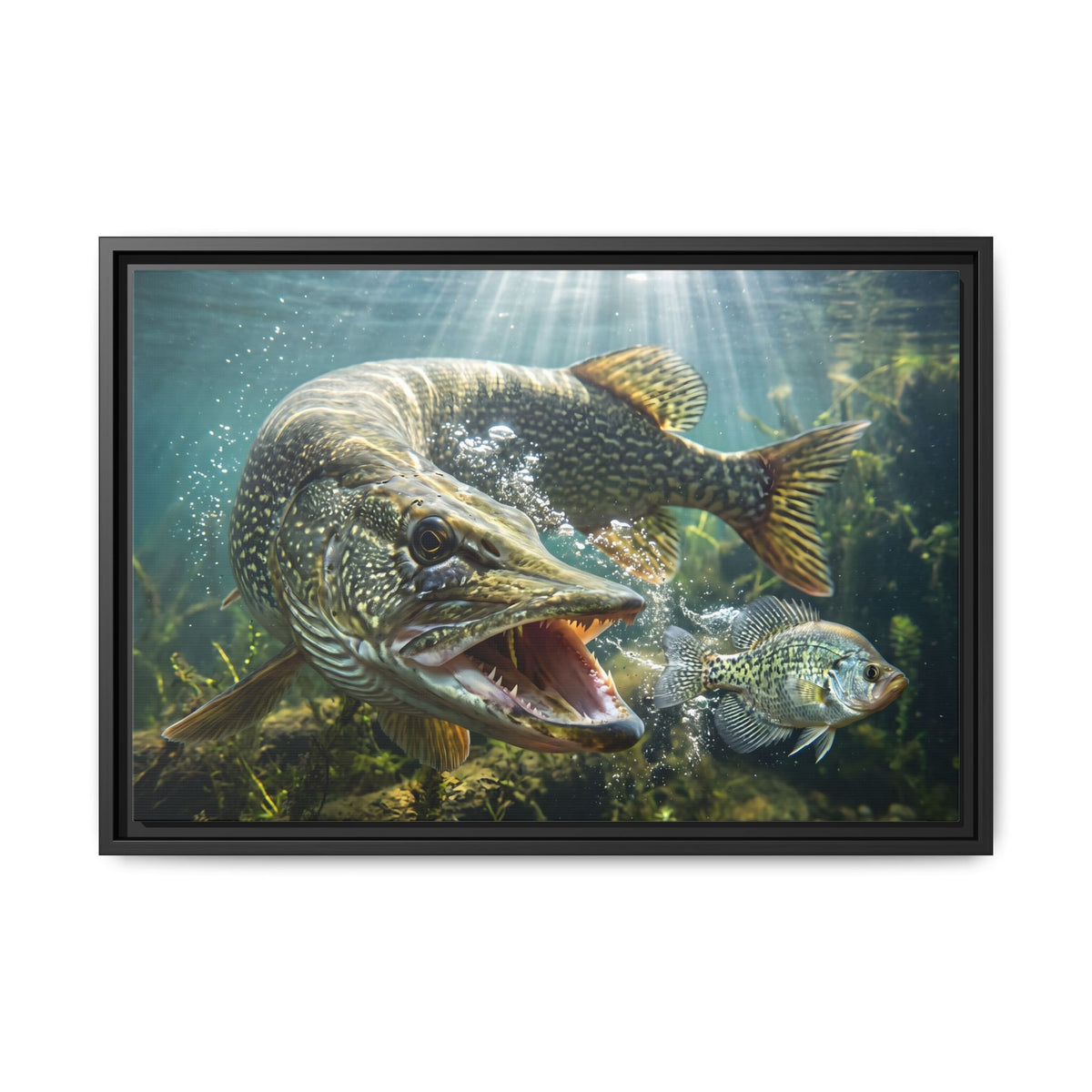 Northern Pike Predator Strike Framed Canvas — Ready-to-Hang Wall Art for Anglers