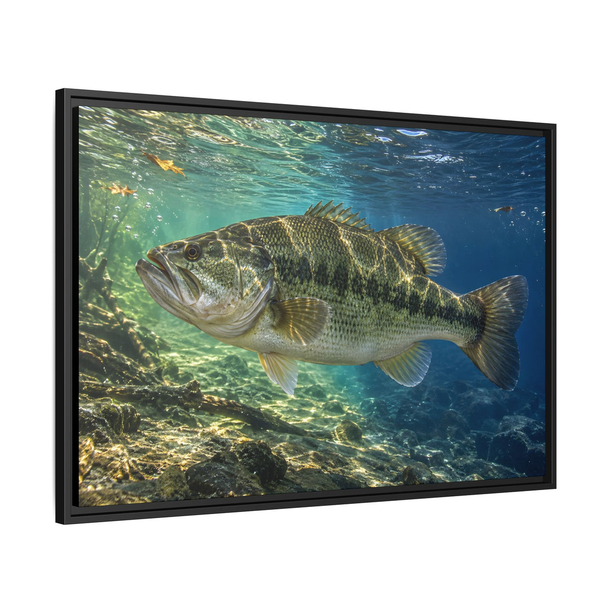 Blue-Green Current Seam Largemouth Bass framed canvas side angle