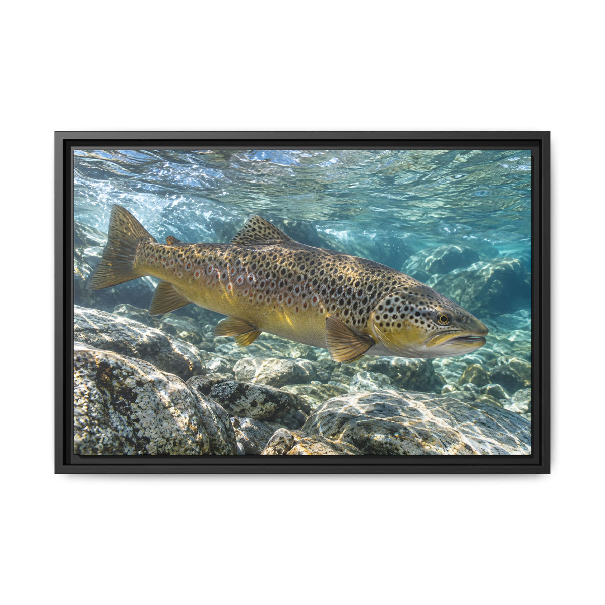 Emerald Undercut Brown Trout framed canvas wall art, view 3