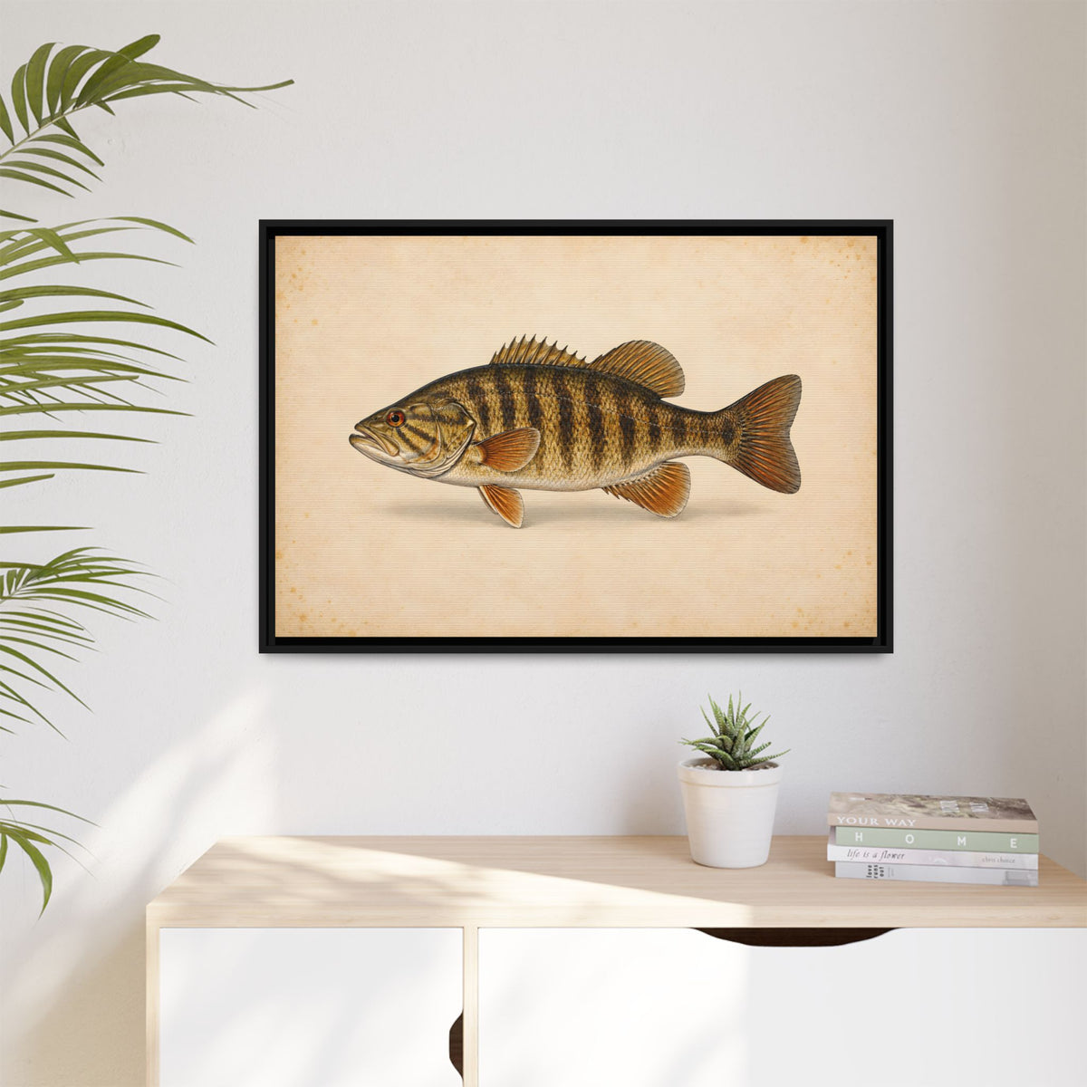 Smallmouth Bass Field Study Framed Canvas wall art, view 5