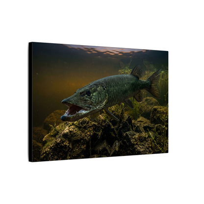 Mouth Open Dusk Sky Muskie canvas side angle